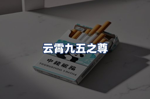 云霄九五之尊